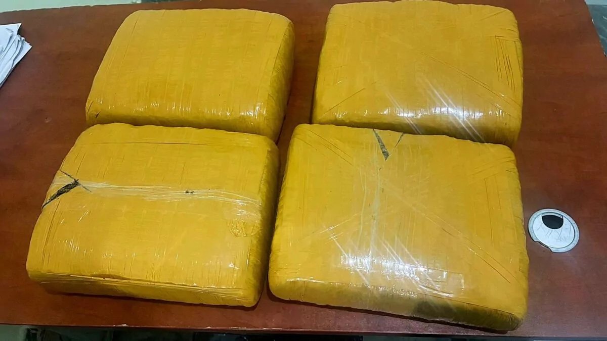 Ejército ocupa cuatro pacas de presunta marihuana abandonadas en zona fronteriza de Elías Piña