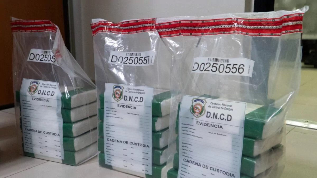 DNCD incauta más de 17 mil gramos de presunta cocaína en Los Alcarrizos