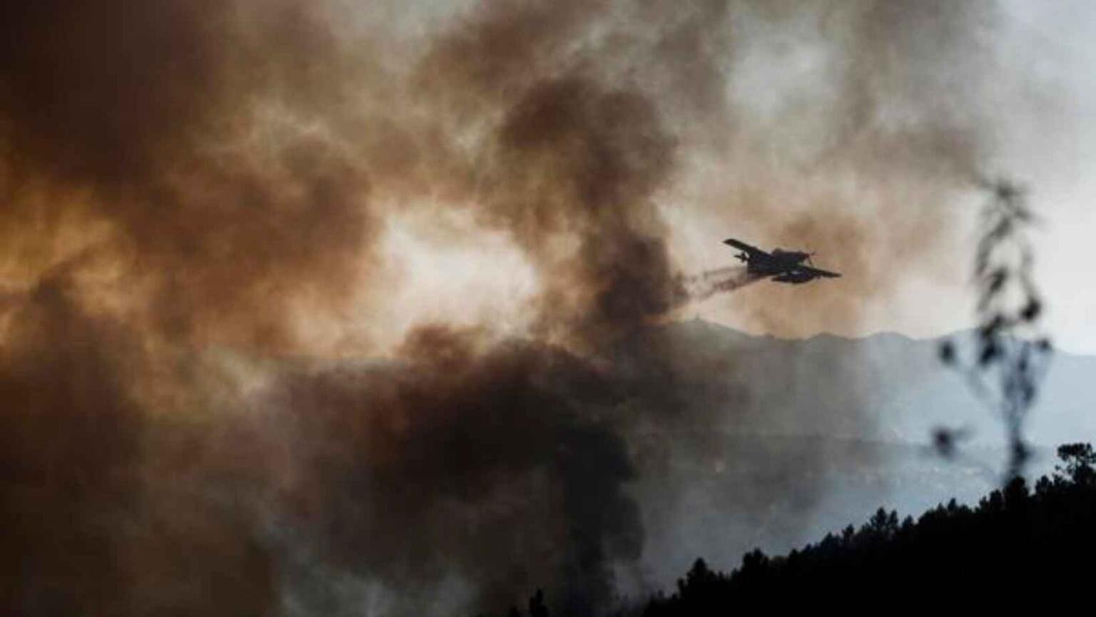 Casi 700 bomberos combaten voraz incendio forestal en Portugal