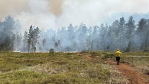 Fuego forestal avanza en la Sierra de Bahoruco y obliga a reforzar las labores de control